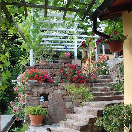 Am Berggarten Heidelberg Exterior photo