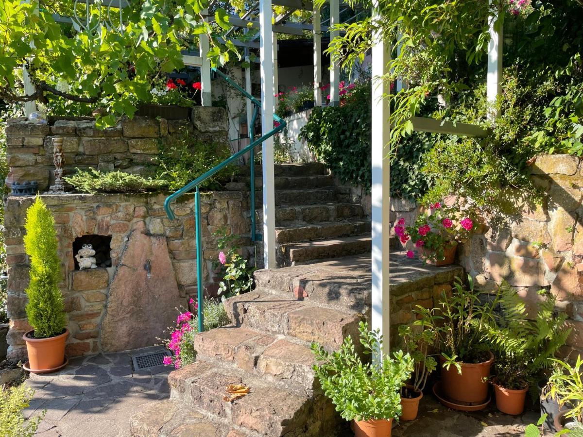 Am Berggarten Heidelberg Exterior photo