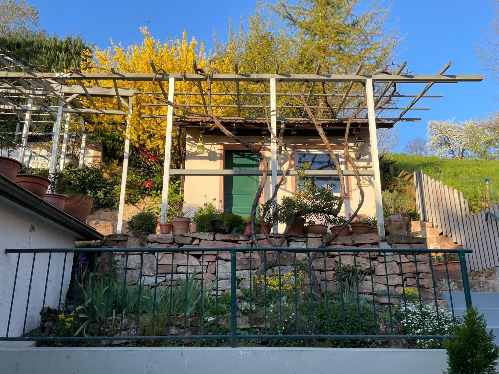 Am Berggarten Heidelberg Exterior photo